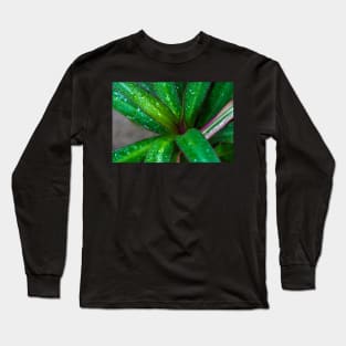 GREEN LEAVES Long Sleeve T-Shirt